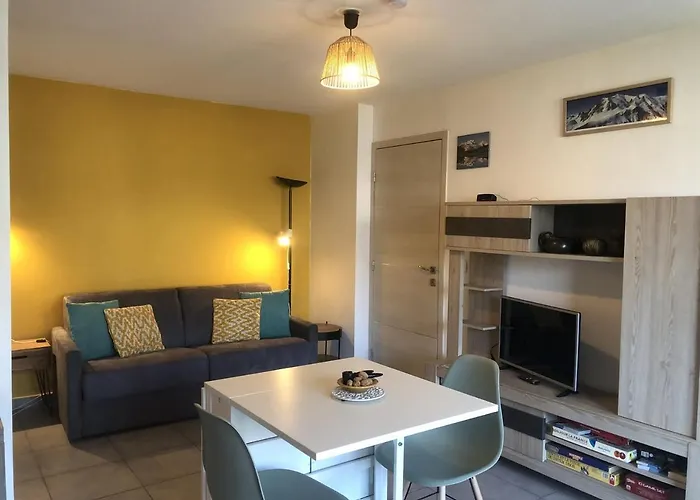 T2 45m2 Le 29 1 Parking Terrasse, Centre-ville アパート エクスレバン