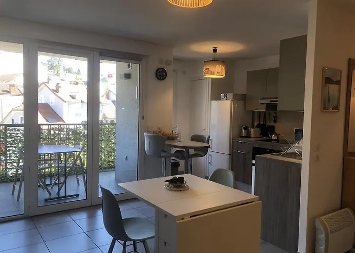 アパート T2 45m2 Le 29 1 Parking Terrasse, Centre-ville エクスレバン