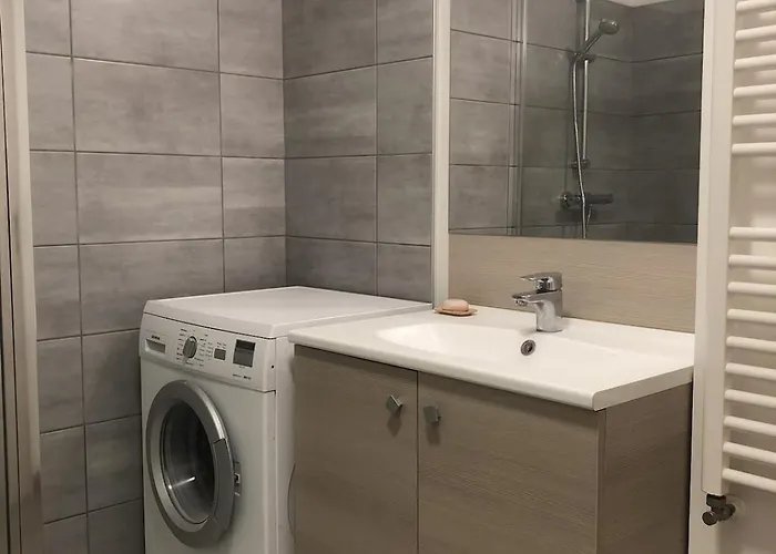 アパート T2 45m2 Le 29 1 Parking Terrasse, Centre-ville エクスレバン